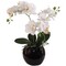 13-Inch Phalaenopsis Orchid Arrangement - Elegant Silk Floral Accent for Home & Office Decor, Floral Home by Artificial Flowers